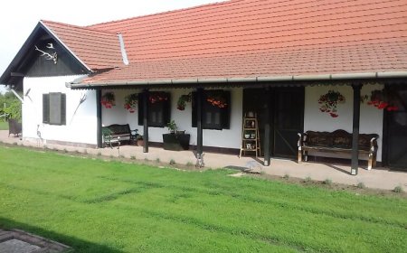 Szívünk Csücske Vendégház Sarud