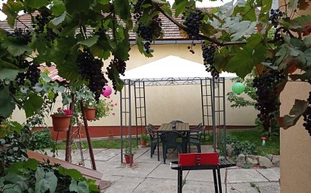 Borina Vendégház Sátoraljaújhely
