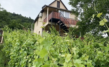 Fehér Szőlő Vendégház Sátoraljaújhely