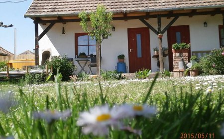 Petra Vendégház Sellye