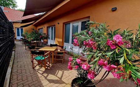 Két Sirály Apartman Siklós