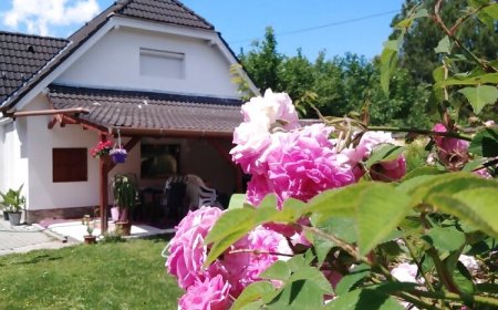 Neo Apartman Siófok