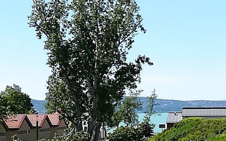 Ozone Apartman Siófok