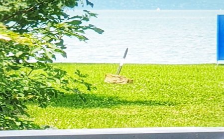 Balancaa Beach Vízparti Apartman Siófok