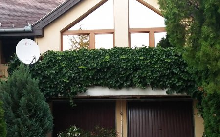 Gubo Apartman Siófok