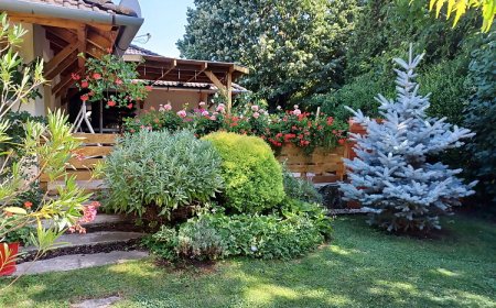 Botond Apartman Siófok