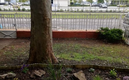 Ádám-Gergő Vendégházak Siófok