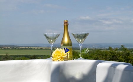 Jódi-Hegy Resort Siófok