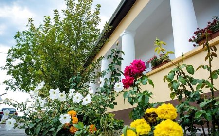 Bokros Vendégház Solt