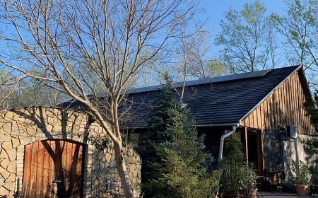 FeketeFenyő Vendégház Soltvadkert