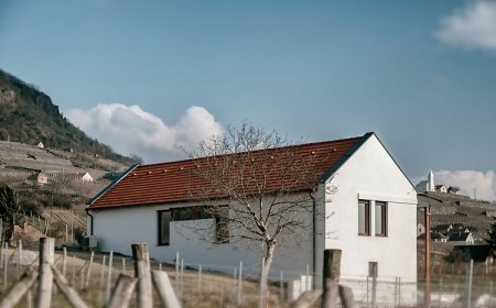 Bandi Weekend House Vendégház Somlójenő
