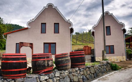 Bagdal-Vino Vendégház Somlójenő