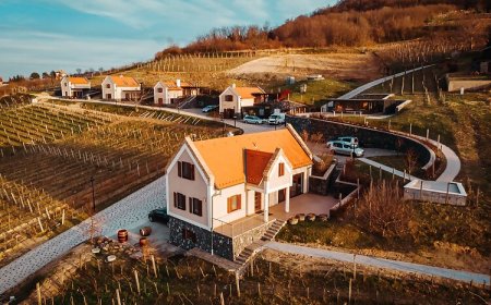 5 Ház Borbirtok Somlószőlős