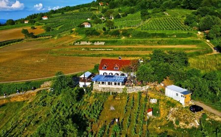 Inhauser Pincészet & Guesthouse Somlószőlős
