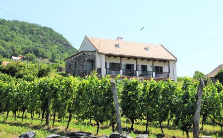 SÉD PINCE Vendégház Somlószőlős