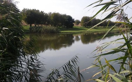 Platán Vendégház Szalánta