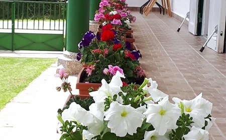 Jolanda Vendégház Szálka