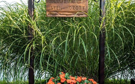 Az én szigetem Vendégházak Szarvas