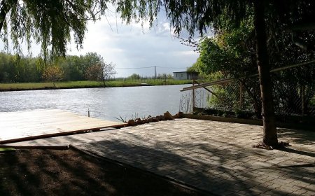 Nagyfoki Alfi Nyaraló Szarvas