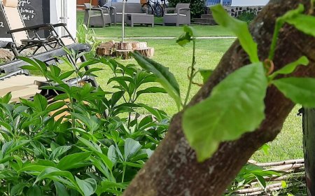 Kiskilenc Vendégház Szarvaskő