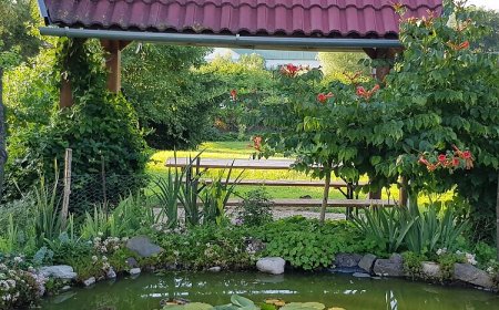 Smaragd Vendégház Szászvár