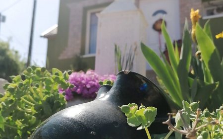 Levendula Vendégház Szászvár