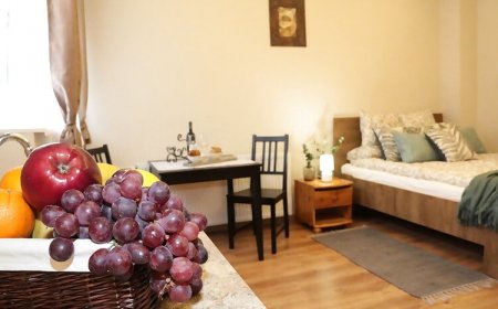 Pálma Apartmanok Százhalombatta