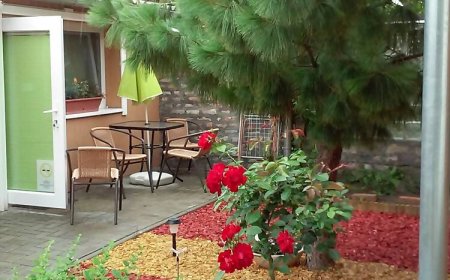 Napsugárka Apartman Szeged