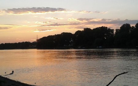 Hortenzia Apartman Szeged