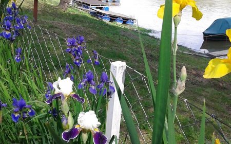 Anita Vendégház Szeged