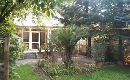 Subasa Green Garden Vendéház Szeged