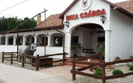 Öreghegyi Bika Panzió Székesfehérvár