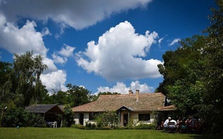 Piroska Vendégház Székkutas