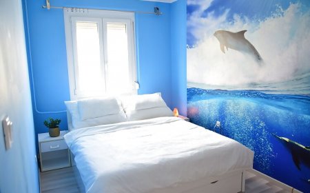 Alisca Kuckó Szekszárd