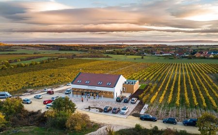 Dobosi Birtokközpont Panzió Szentantalfa