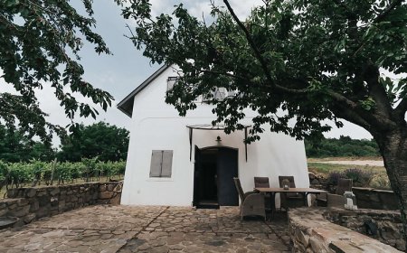 Kőtulipán Vendégház Szentbékkálla