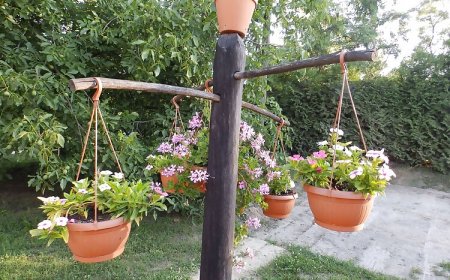 Mentettréti Vendégház Szentes