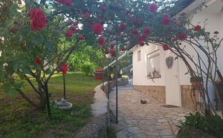 Rózsamorzsa Vendégház Szerencs