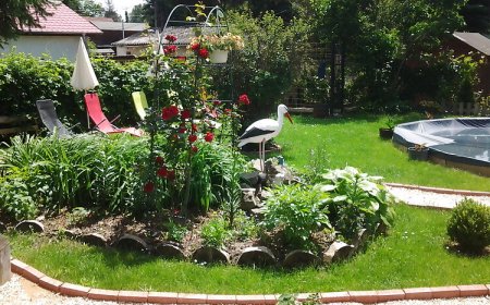 Brigitta Apartman Szigetmonostor