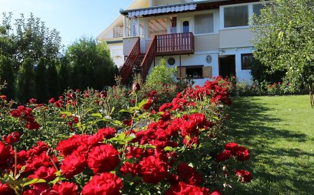 Rózsakert Vendégház Szigliget