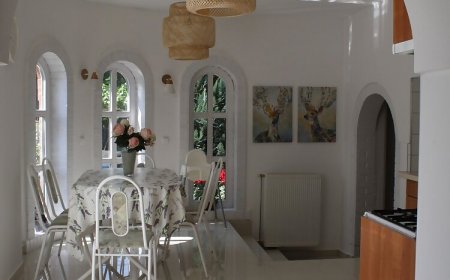 Alcsi Vendégház Szolnok