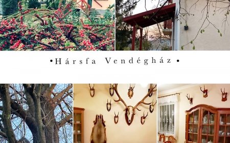 Hársfa Vendégház Tállya