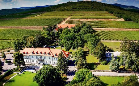 Gróf Degenfeld Kastélyszálló Superior Tarcal