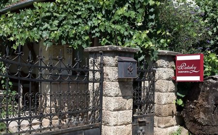 Pataky Borporta Tarcal