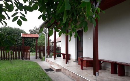 Mátyás Madár Vendégház Tard