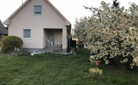 ZSUTI Apartman Tarpa