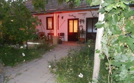 Flóra Vendégház Tass