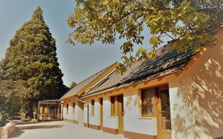 Mamutfenyő Panzió Tata