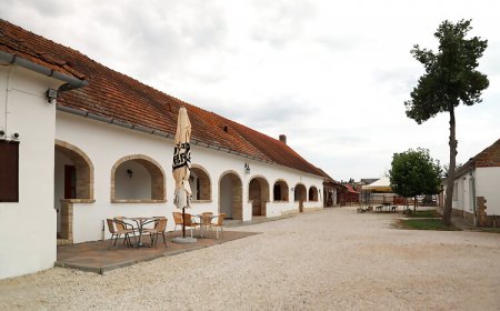 Róza Vendégházak Tényő