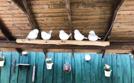 Őzike Lak Vendégház Terem